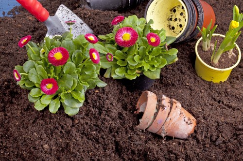 A close-up view of a newly created flower bed in an outdoor garden space, featuring two vibrant primula plants with bright pink and yellow flowers and lush green foliage, planted in dark, rich soil. To the right, a small yellow plastic pot contains emerging green shoots, while a miniature terracotta flowerpot lies on its side in the soil. In the background, a yellow watering can with a black spout is partially visible, positioned next to the flower bed. The scene is set in natural daylight with soft shadows, suggesting a mild, overcast day, and the garden environment appears well-maintained and freshly dug, with a focus on flower bed planting and garden preparation, consistent with professional gardening and landscaping services offered by Landscapers Highgate in North London.