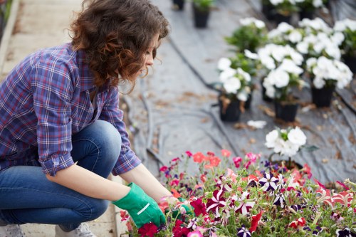 Landscape team safety checks before outdoor work