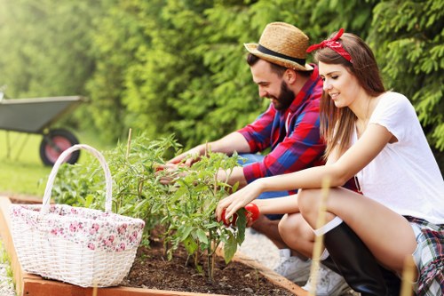 In a lush garden setting, a young man and woman are engaged in planting or tending to a small shrub within a rectangular garden bed edged with wooden planks. The woman is dressed in a white T-shirt and plaid shorts, wearing black rain boots, while the man is in a red and blue checkered shirt, with a straw hat, and also wearing dark footwear. Behind them, a green lawn and a line of dense, leafy trees are visible, providing a vibrant, natural backdrop. To the left, a white wicker basket with a floral pattern sits on the ground nearby, containing gardening tools or supplies. The scene is illuminated by natural daylight, creating a bright, cheerful outdoor atmosphere typical of a well-maintained residential garden. This image exemplifies outdoor gardening activities, which are part of comprehensive landscaping and garden maintenance services often offered by companies such as Landscapers Highgate, serving areas including Highgate in North London and nearby communities in the N6 postcode area.