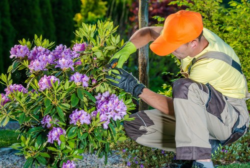 Professional garden clearance work in Highgate