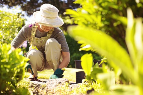 A woman wearing a wide-brimmed white sun hat, beige overalls, and green gardening gloves crouches in a well-maintained front garden, engaging in planting or pruning activities. Visible in the scene are lush green shrubs and a neatly edged flower bed with dark soil, bordered by light-colored paving stones. The garden features a vibrant green lawn with dense, healthy grass that stretches across the foreground and middle ground, while in the background, mature trees and additional shrubbery provide a natural backdrop, indicating a landscaped outdoor space typical of residential properties in Highgate. The scene is illuminated by natural daylight, suggesting a mild, sunny day, with clear shadows cast by the foliage and gardening tools. This image reflects professional gardening practices supported by local landscapers, emphasizing lawn care, planting, and general outdoor maintenance typical of gardening services in the Highgate area.
