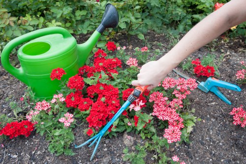 The image depicts a garden scene in a residential outdoor space, featuring a section of dark, moist soil or mulch bed with vibrant red and pink flowering plants, likely geraniums or similar bedding flowers, arranged along the edge of a garden bed. To the left, a bright green plastic watering can with a black spout is positioned on the soil, partially surrounded by the flowering plants. On the right side, a person’s arm extends into the frame, holding a small blue hand rake, suggesting active gardening or planting activity. The garden is bordered by lush green foliage and dense shrubbery in the background, providing a natural backdrop. The scene appears to be set on a sunny day with natural light illuminating the various shades of green, red, and pink, indicative of well-maintained outdoor gardening work typical of a high-quality landscape service such as those offered by Landscapers Highgate. The environment reflects a typical, cared-for residential garden, with multicultural plantings and a neat, organized layout suitable for professional gardening and outdoor maintenance services in the Highgate area, within the N6 postcode district of north London.