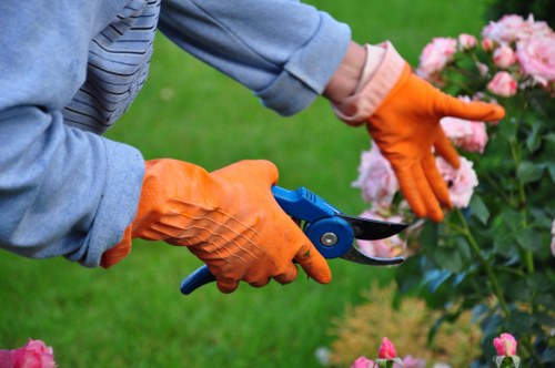 Seasonal garden maintenance services in Highgate