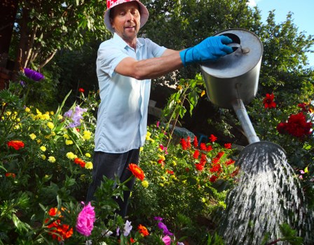 A man wearing a light blue shirt, red hat, and blue gardening gloves is watering a garden bed with a black watering can in a lush backyard. The garden features a vibrant mix of flowering plants, including red, pink, purple, and yellow blooms, with green foliage creating a natural, colorful display. Behind the garden, there are mature trees providing shade and a sense of enclosure, with blue sky visible through the branches. The soil in the flower beds appears well-maintained, and the garden is bordered by a paved path nearby. This outdoor space showcases a typical landscaped garden in Highgate, with a diverse variety of plants and a neat, healthy appearance, aligning with professional gardening and lawn care standards offered by Landsapers Highgate. The scene is illuminated by natural daylight, suggesting a clear, sunny day suitable for outdoor maintenance activities.