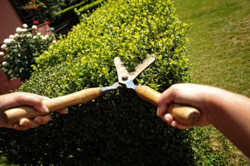 The image displays a close-up of two hands, each gripping a garden tool, with one hand holding pruning shears and the other a small garden fork, both positioned in a crisscross manner. In the background, there is a lush, well-maintained hedge with dense, vibrant green foliage, which appears to be a type of shrub or box hedge, typical in landscaped UK gardens. Surrounding the hedge, a neatly cut lawn with bright green grass extends towards a flower bed containing blooming plants and flowering shrubs, suggesting active gardening and maintenance work. The environment seems to be an outdoor private garden space during a sunny day, with natural lighting highlighting the healthy greenery and the textured surfaces of the gardening tools. The composition emphasizes careful trimming and ongoing outdoor garden care, aligning with professional lawn and hedge maintenance services offered by landscapers in the Highgate area.