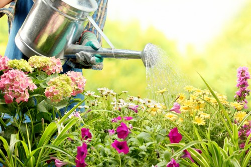 Professional landscape gardener designing a garden in Highgate