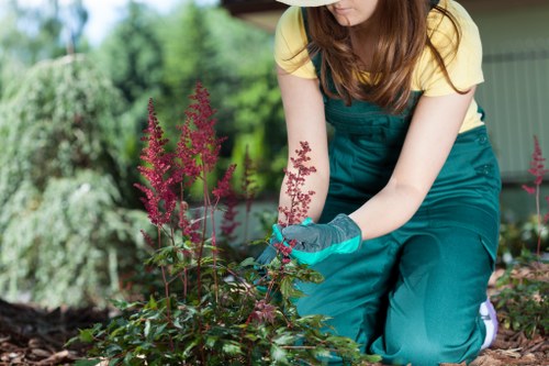 Sustainable tree care practices