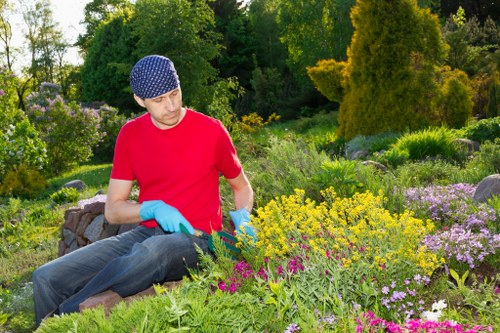 A gardener wearing a red T-shirt, blue gloves, and a patterned hat is seated in a landscaped garden, tending to a variety of flowering plants and shrubs. The garden features lush green grass and well-maintained flower beds with bright yellow, purple, and pink blossoms arrayed in neat borders, set against a backdrop of tall trees and dense foliage. The scene suggests a private outdoor space, possibly in suburban Highgate, with natural afternoon sunlight highlighting the vibrant colors and textures of the plants. The gardener appears focused, engaging in planting or weeding, with the overall environment reflecting careful maintenance and landscaping work typical of local garden care services by Landscapers Highgate, emphasizing natural beauty and outdoor upkeep.