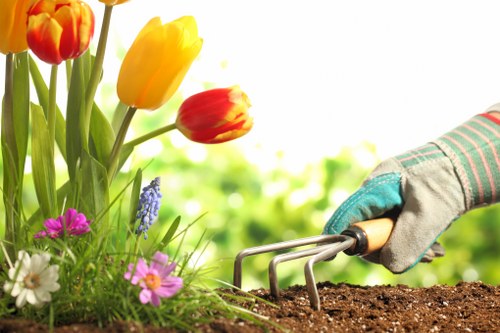 A close-up view of a gardening scene showing a gloved hand gripping a hand rake, actively tending to dark, moist soil in a garden bed. To the left, there is a cluster of vibrant flowers, including yellow and red tulips, along with smaller purple, white, and pink blossoms, all growing amidst lush green foliage. The background features a blurred outdoor environment with bright natural sunlight illuminating the scene, highlighting the textures of the soil, flowers, and the fabric of the glove. The garden appears well-maintained, and the image suggests ongoing gardening work, fitting for a landscaping company offering garden and lawn care services in Highgate or surrounding areas.