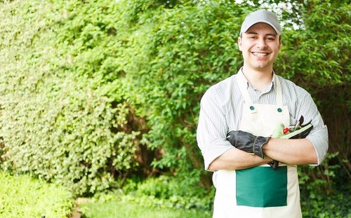 A smiling male gardener standing outdoors in a well-maintained garden with lush green foliage and a variety of plants in the background. He is wearing a white and green apron, a light grey cap, and gardening gloves, holding a pair of pruning shears. The garden features a neatly trimmed hedge, a grassy lawn with dense, healthy grass, and flower beds bordered by small edging stones. The scene suggests a professional outdoor space possibly connected to residential landscaping services in Highgate, with bright natural lighting indicating clear weather. The image highlights the role of professional gardening and lawn care specialists like Landscapers Highgate in maintaining attractive and well-kept gardens in the local area, supporting services such as pruning, lawn maintenance, and plant care.