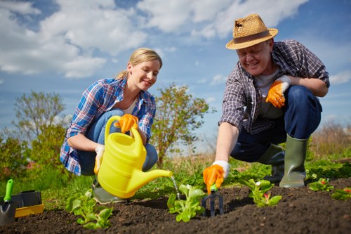A woman and a man are working together in a well-maintained garden in Highgate, planting young green vegetable seedlings in freshly turned dark soil. The woman, wearing an open plaid shirt over a t-shirt and orange gardening gloves, is holding a yellow watering can, ready to water the seedlings. The man, dressed in a checked shirt, straw hat, and green rubber boots, is in the process of planting or adjusting a seedling, also wearing orange gloves. In the background, there is a lush hedge and trees under a partly cloudy blue sky, indicating a sunny day. The garden area features a neatly edged flower bed, patches of grass, and an outdoor setting suitable for sustainable gardening and outdoor maintenance, reflecting professional landscaping practices common in the Highgate area. The scene captures active gardening work, emphasizing outdoor planting, garden care, and the natural outdoor environment associated with residential landscaping services in the local area.
