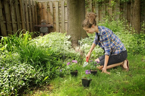 Seasonal gardening activities in Highgate