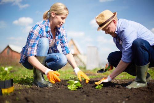 A woman and a man are working together in a lush garden, planting young green plants into dark, freshly turned soil. The woman, wearing a blue checkered shirt, jeans, and orange gardening gloves, is crouched down, carefully placing a plant into the ground. The man, dressed in a light blue shirt, dark trousers, a straw hat, and waterproof boots, is also kneeling, assisting with the planting process. The garden features a well-maintained lawn in the foreground with vibrant green grass, and the background reveals a hedge line, trees, and some residential buildings under a partly cloudy sky. The clear weather and natural lighting highlight the healthy soil and foliage, illustrating a peaceful outdoor environment suitable for garden renovation and landscaping projects. This scene reflects the types of outdoor maintenance and gardening services provided by Landscapers Highgate in the local area, with a focus on garden planting and development within a typical UK suburban setting.