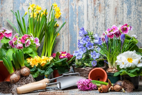 Selection of native plants for a Highgate garden
