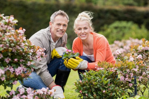 Professional gardening service at work in Highgate